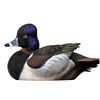 Image 1 : Ringneck Decoys of the Year