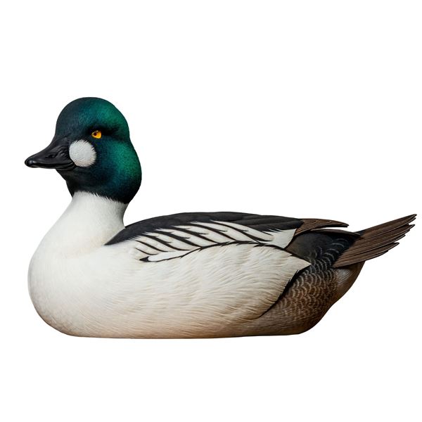Goldeneye Decoy