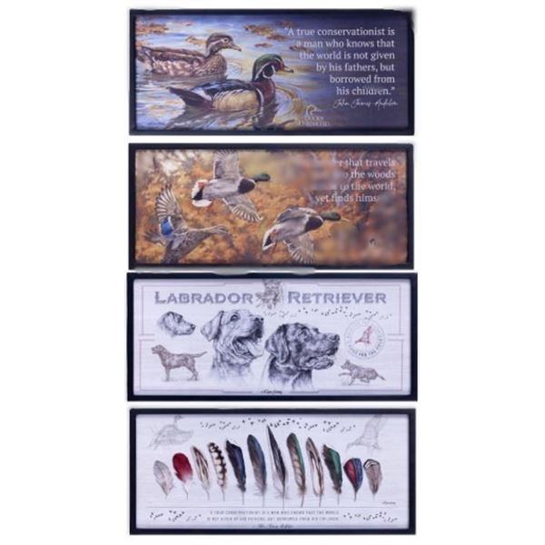 Conservation Wall Art