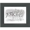 Image 1 : Pintails Shadow Box Print