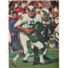 Image 1 : Philadelphia Eagles Roman Gabriel signed photo