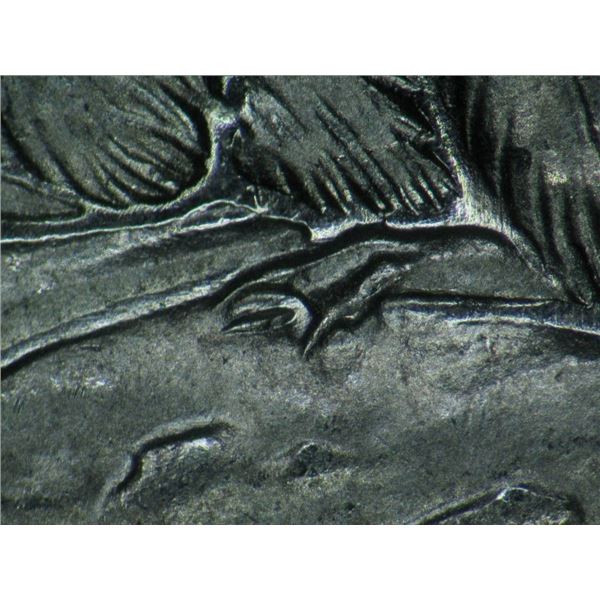 1965 PL66 Large Extra Claw and Small Extra Claw