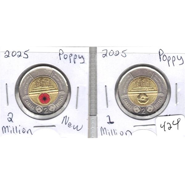 2025 Poppy With and Without Colour