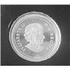 Image 2 : 2004 annual report  with 2004 Royal Canadian Annual Report Gold Plated Silver Poppy coin SCARCE