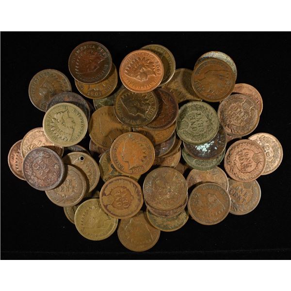 (50) INDIAN HEAD CENTS