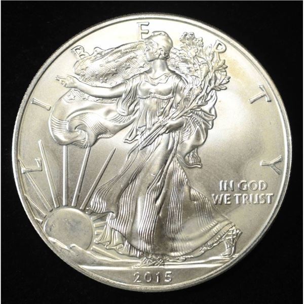 2015 AMERICAN SILVER EGALE