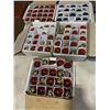 Image 1 : 5 BOXES OF LIGHT BULBS - ASSORTED COLOURS, 20 PER CASE, 100 TOTAL
