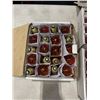 Image 3 : 5 BOXES OF LIGHT BULBS - ASSORTED COLOURS, 20 PER CASE, 100 TOTAL