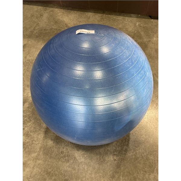 EXCERCISE BALL