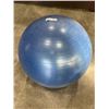 Image 1 : EXCERCISE BALL