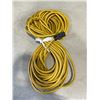Image 2 : YELLOW HEAVY DUTY EXTENSION CORD AND TROUBLE LIGHT