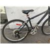 Image 2 : INFINITY BACKROADS BIKE