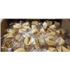 Image 2 : NEW CASE OF FORTUNE COOKIES