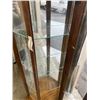 Image 4 : CURIO DISPLAY CABINET