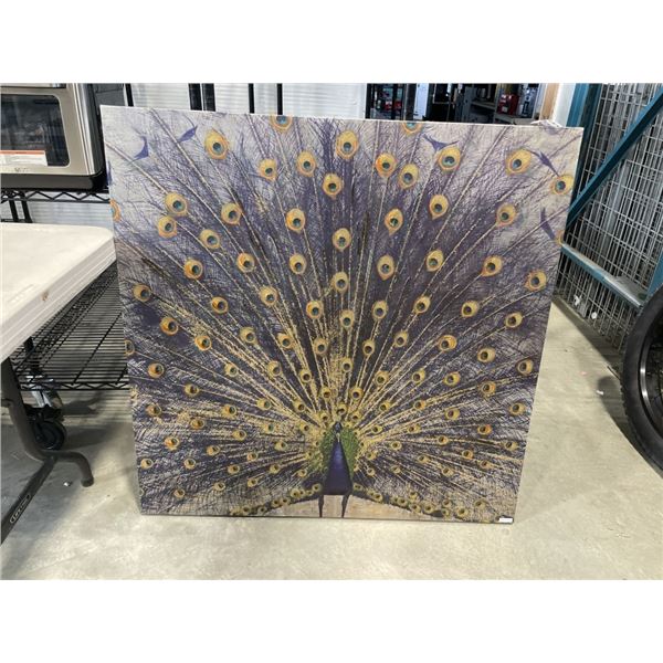 LARGE PEACOCK CANVAS PICTURE 40 X 40 INCH