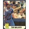 Image 1 : 1987 HOSTESS CHIPS BASEBALL TIM WALLACH