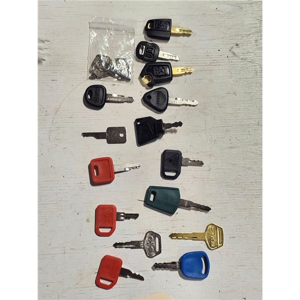 Set of 16 Equipment Masterkeys
