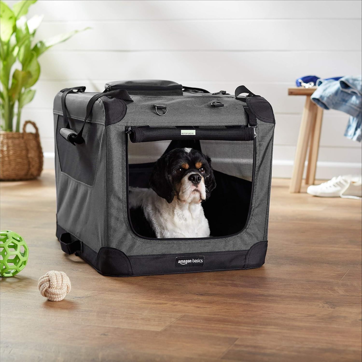 Amazon Basics Premium Folding Portable Soft Pet Crate - 36in, Grey ...