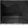 Image 5 : Amazon Basics Dog Metal Crate Cover, 42-Inch - B07PCMJX38 - New, Retail Price USD $43/pc, Total Lot 