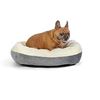 Image 1 : Amazon Basics Warming Pet Bed, 30-Inch - B07FD8122X - Retail USD $34/pc. Total lot retail USD $510 f