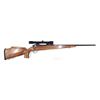 Image 1 : P17 Custom Build 7 mm Rem Mag - Hardwood Stock c/w Scope