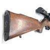 Image 2 : Squire Bingham Model 1500 Bolt Action Rifle 22 Magnum c/w Scope