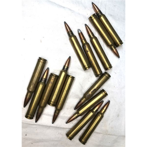 300 WIN MAG Lot - 13 Rounds