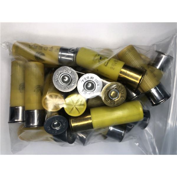 20 Gauge LOT - 23 Shells