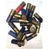 Image 1 : 12 Gauge SHELL LOT x20
