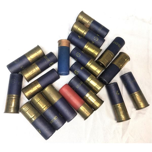 12 Gauge SHELL LOT x19