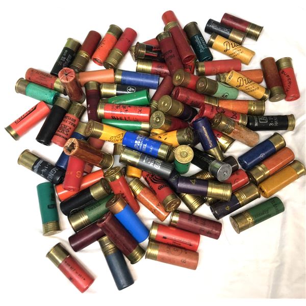 12 Gauge SHELL LOT x 82