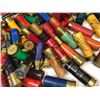 Image 3 : 12 Gauge SHELL LOT x 82