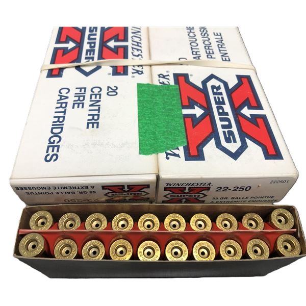 22-250 BRASS Lot - 99 Count