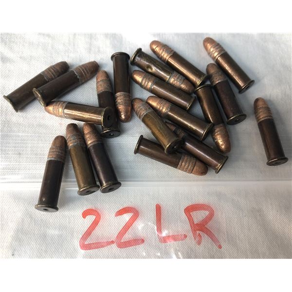 22LR DUMMY Rounds x19