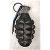 Image 1 : Pineapple GRENADE - Dummy Practice