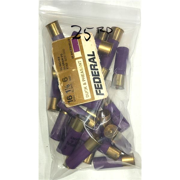16 GAUGE - 25 Shell Lot