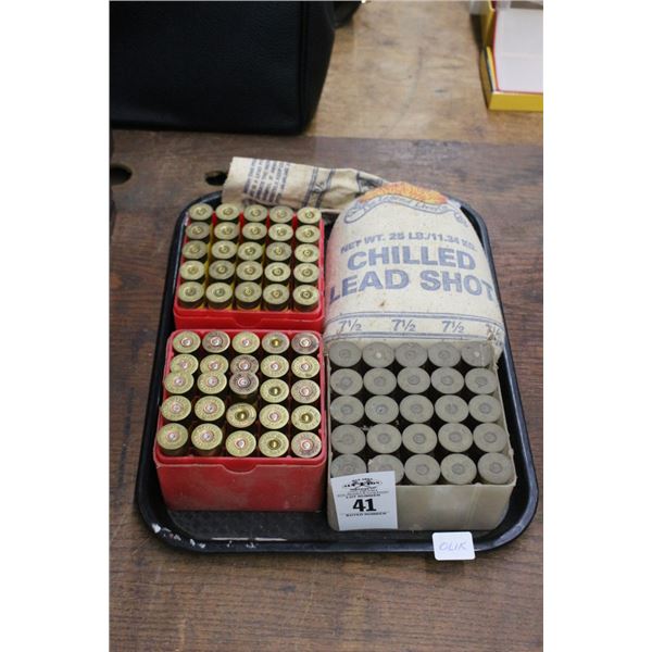 Shot Gun Ammo
