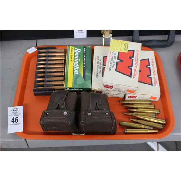 Rifle Cartridges/Ammo Satchel