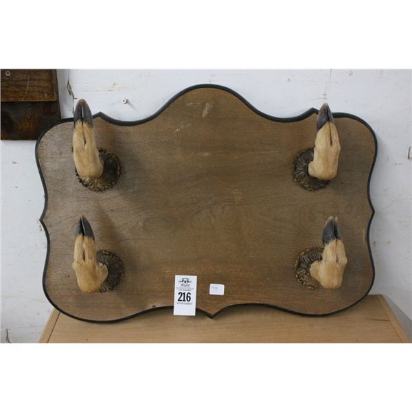 Horse Hooves Wall Mount
