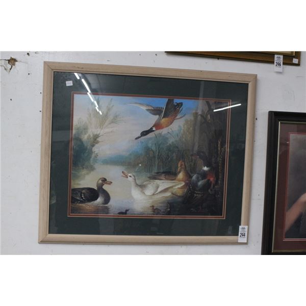 Framed Mallard Wall Art - 24"  X  30"