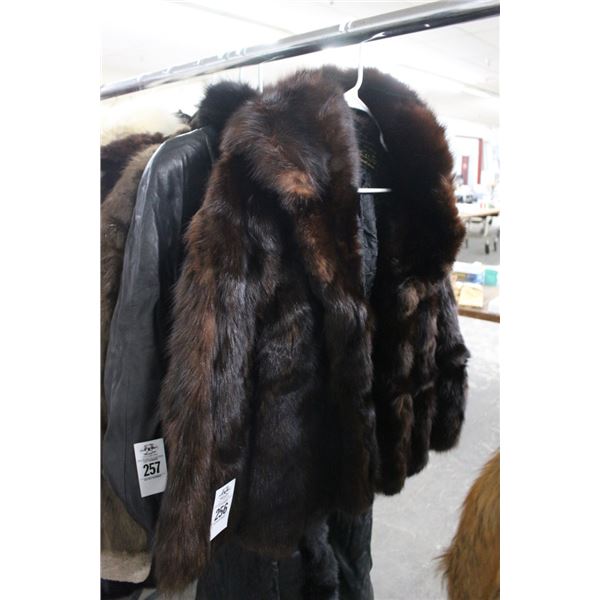 Revissa Dark Brown Ladie's Fur Coat