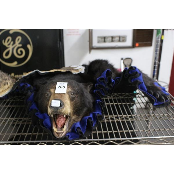 Black Bear Taxidermy Rug