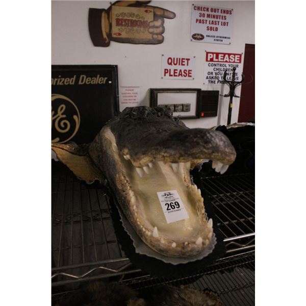 Alligator Taxidermy Wall Hanging/Tapestry