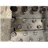Image 22 : Lot of (4) Turck Module Assemblies