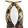 Rare Scrimshaw Water Buffalo Horn Pair (CLB-590)