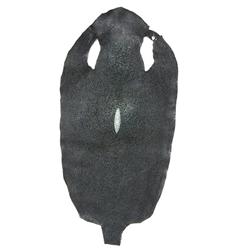 Large Stingray Hide Pelt Skin  (CLB-345)