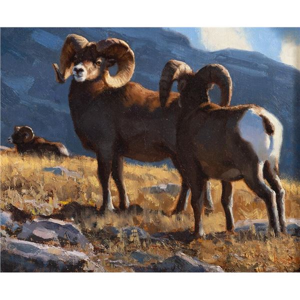 Kyle Sims, oil on canvasboard