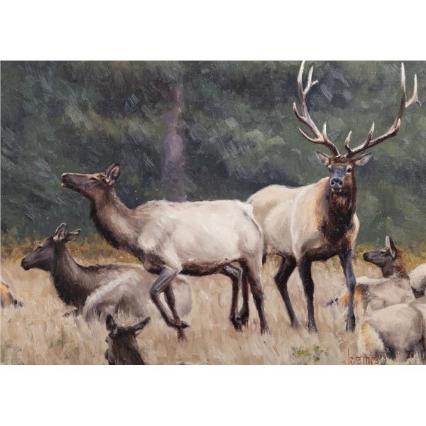 Kyle Sims, oil on canvas