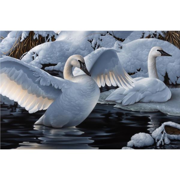 Jerry Gadamus, acrylic airbrush on board