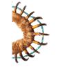 Image 3 : Pawnee Bear Claw Necklace, 40" long